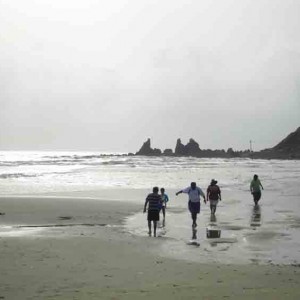 παραλια Arambol, Goa