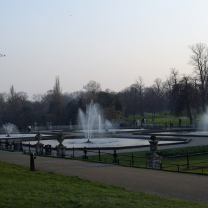 IMGP0161