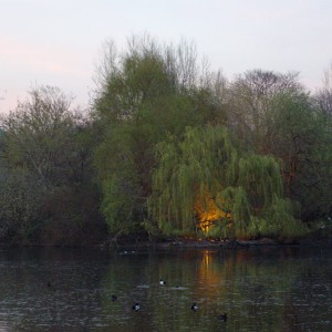 IMGP0289-1