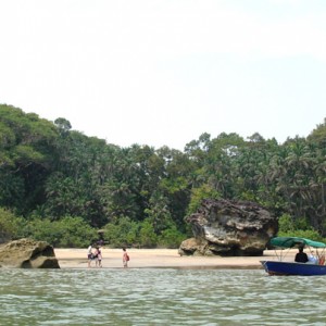 Telok Paku , εθνικό πάρκο Μπάκο, Sarawak Borneo