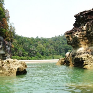 Telok Pandan, εθνικό πάρκο Μπάκο, Sarawak Borneo