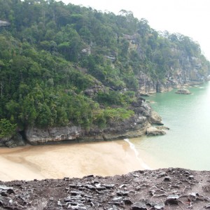 Telok Pandan, εθνικό πάρκο Μπάκο, Sarawak Borneo