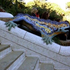 Gaudi's pet