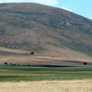 DSC01595
