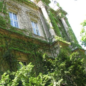 Βουδαπέστη,μία πλευρά απο το κάστρο Βάινταχουντατ