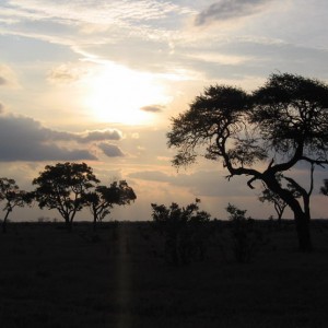 Αφρικανικό ηλιοβασίλεμα