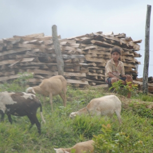 Iquitos to Santa Rosa,Amazonia