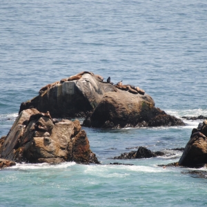 Reñaca,Chile