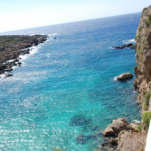 ΘΕΑ ΑΠΟ ΤΗΝ ΜΟΝΗ ΤΗΣ ΧΡΥΣΟΣΚΑΛΙΤΙΣΑΣ