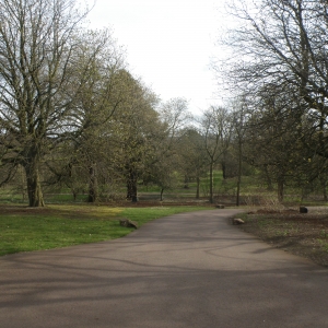 Botanic Gardens Edinburgh