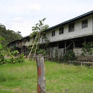 Bario, Kelabit Highlands, Sarawak