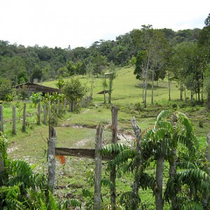 Bario, Kelabit Highlands, Sarawak