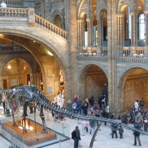 Natural History museum