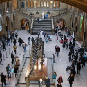 Natural History museum