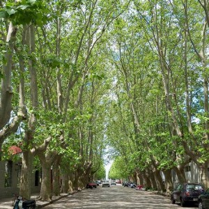 Colonia del Sacramento