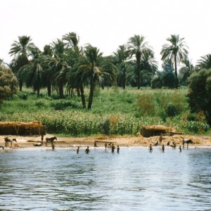 Egypt