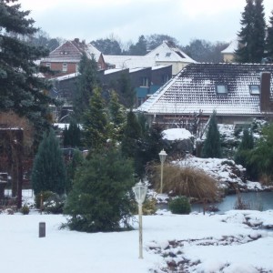 fallingbostel