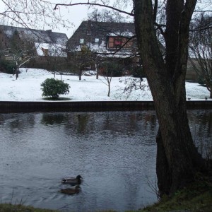 fallingbostel