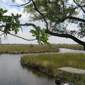 Okavango Delta