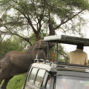 Tarangire National Park