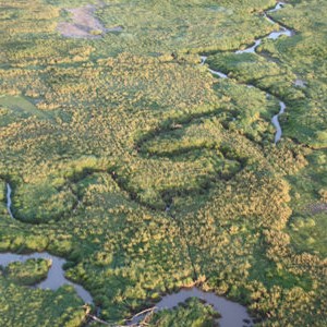 Το Serengeti από το αερόστατο