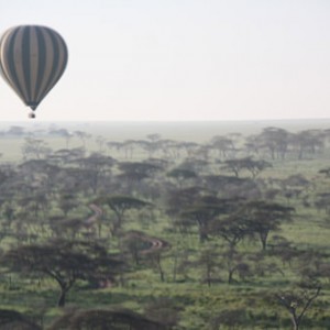 Balloon safari