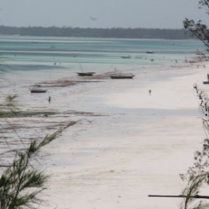 Zanzibar - Kinengwa beach