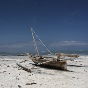 Zanzibar - Kinengwa beach