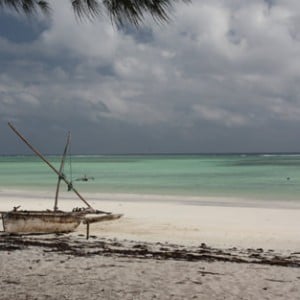 Zanzibar - Kinengwa beach