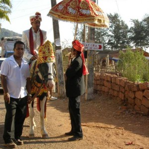 indian groom