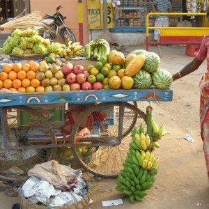 india