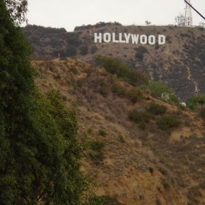 hollywood hill