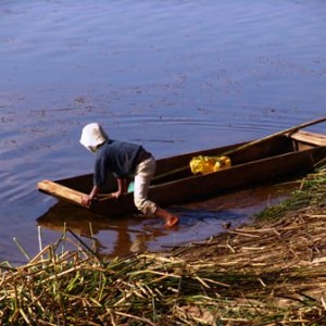 MADAGASCARE_2005_527_2_