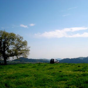 machine and nature