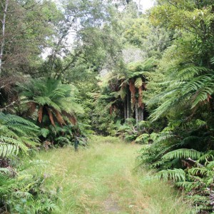 Trekking στη Rotorua