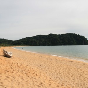 Παραλία Totaranui, Πάρκο Abel Tasman