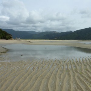 Παραλία Wainui, Πάρκο Abel Tasman