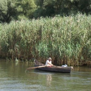 Delta del Danubio