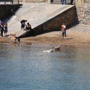 Ανοιξιάτικο Getxo