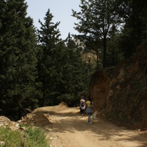 Στο δρόμο για Παλιό Πυλί