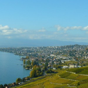 Lac Leman - Lavaux