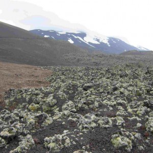 Iceland, Mt Hekla, 19-08-2009