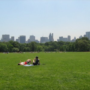 The Great Lawn, Central Park