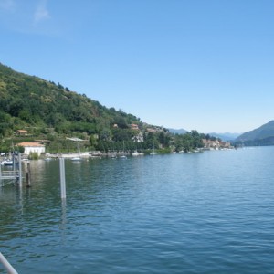 Arona