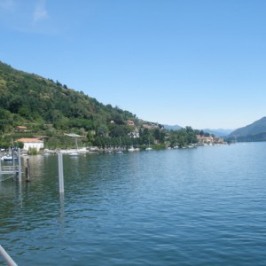 Arona