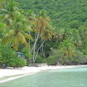 Maho Bay