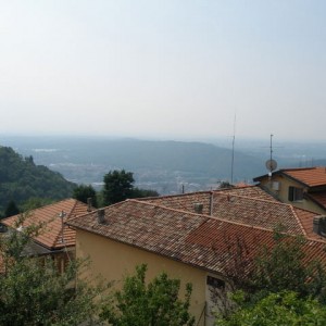 brunate