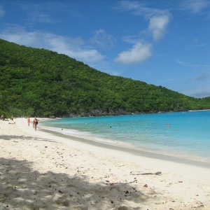 Αραχτοί στη Trunk Bay