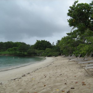 Caneel bay