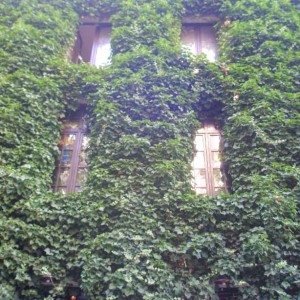 P7280243